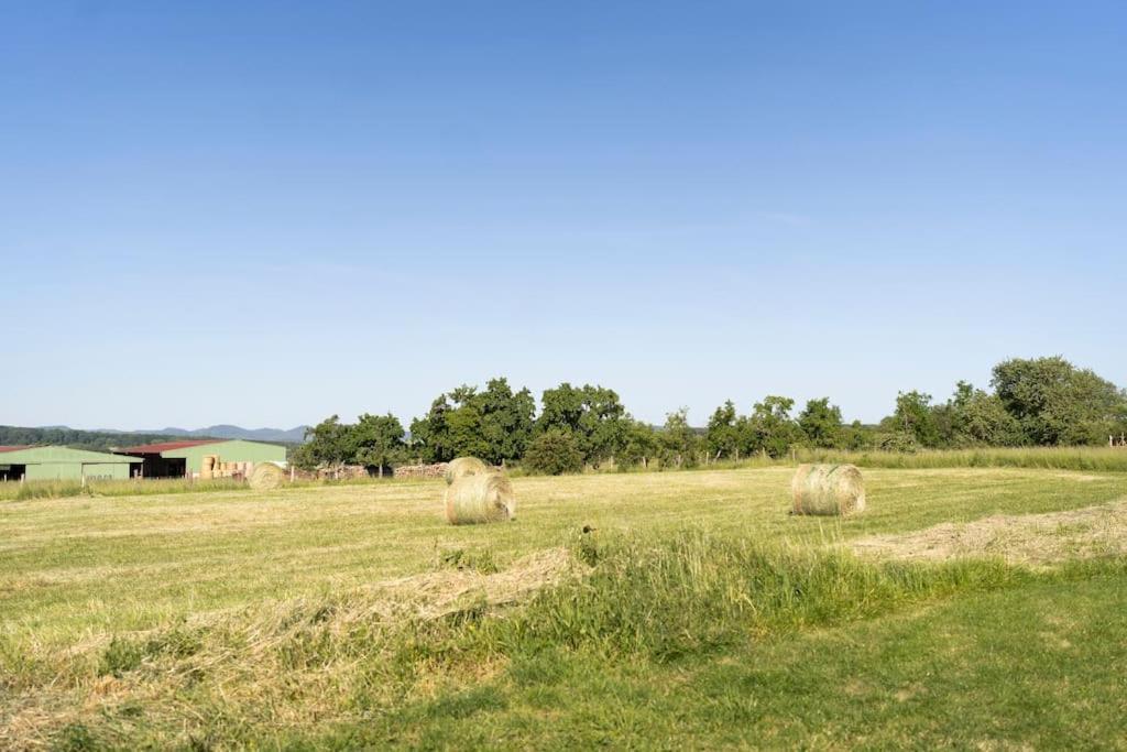 Maison A La Campagne 6 Personnes Zutzendorf Kültér fotó